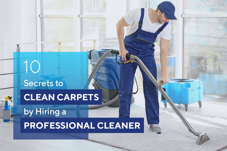 Professional carpet cleaners