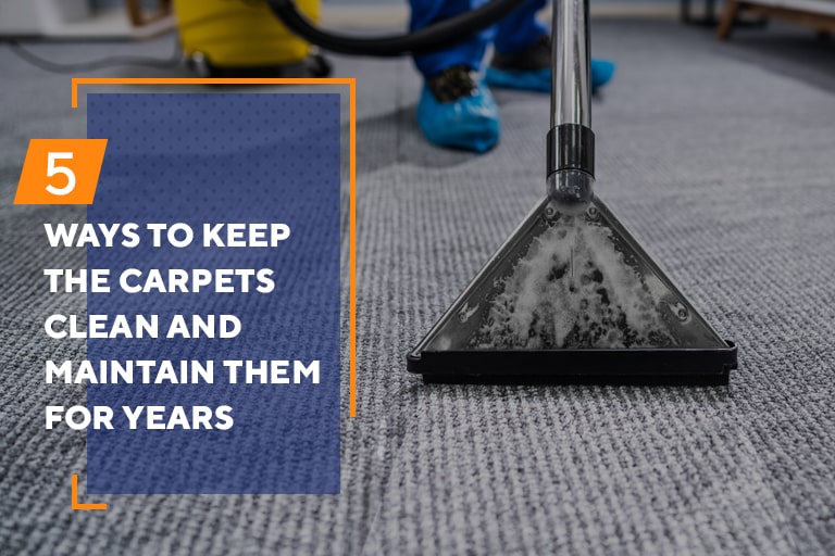 Carpet cleaning and maintaining them for a year
