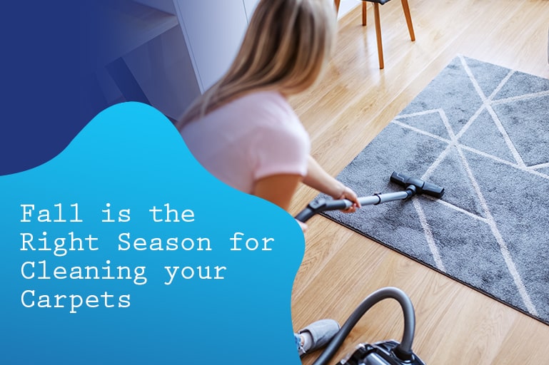 What is the best season of the year for carpet cleaning
