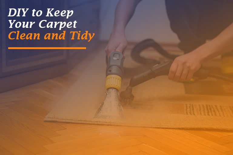 Keep your carpet clean and tidy