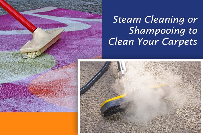 Carpet Shampooing or Steam Cleaning